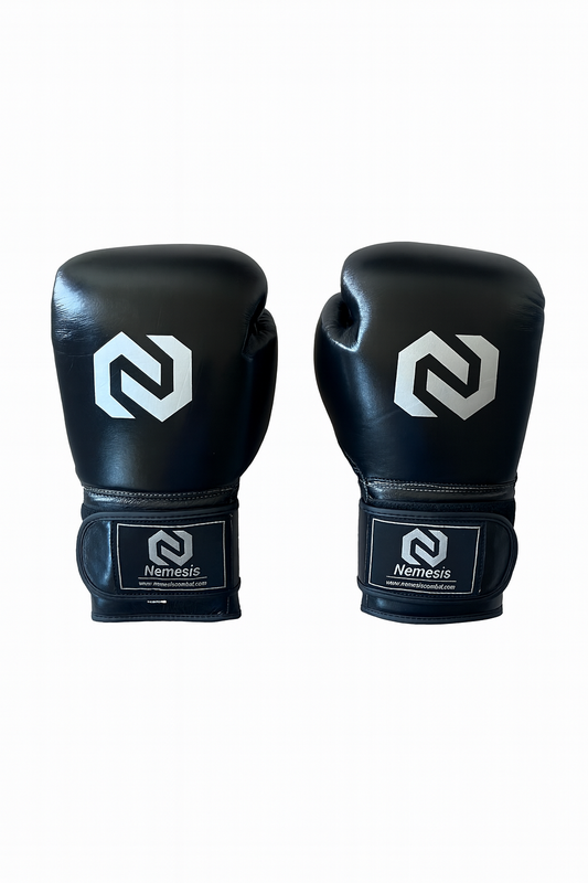 Boxing Gloves - Black/Silver